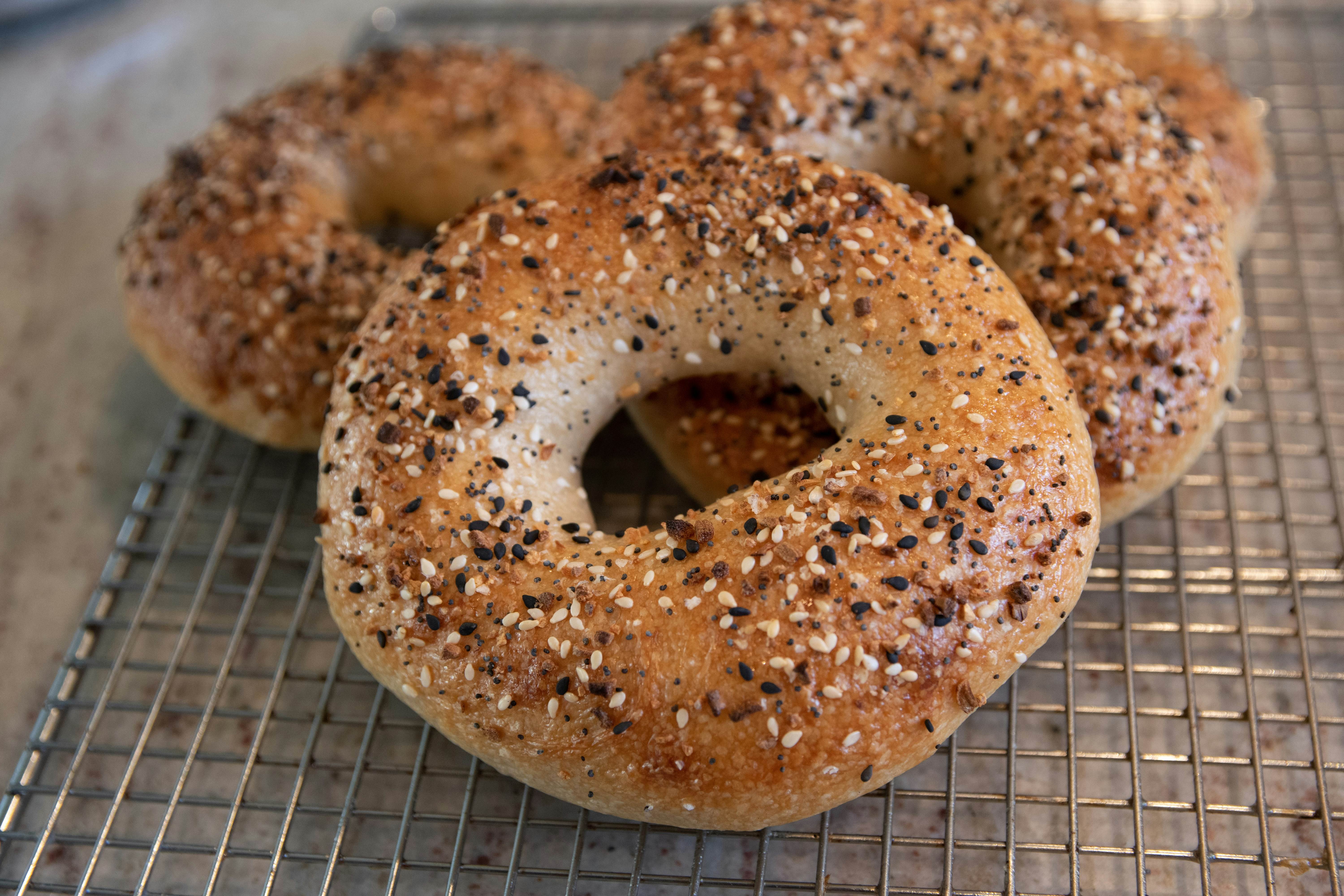 Fresh baked everything bagels